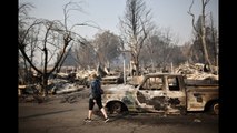 More than 10 percent of Oregon’s population forced to flee wildfires