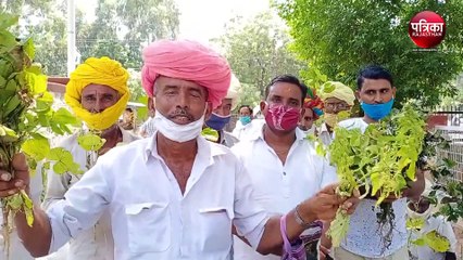 Watch Video : किसानों बोले : फसलें तबाह, राहत दे सरकार