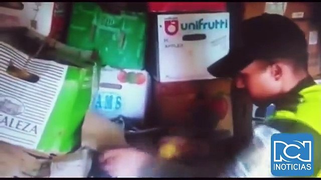 Incautan 70 toneladas de alimentos que ingresaron ilegalmente al país