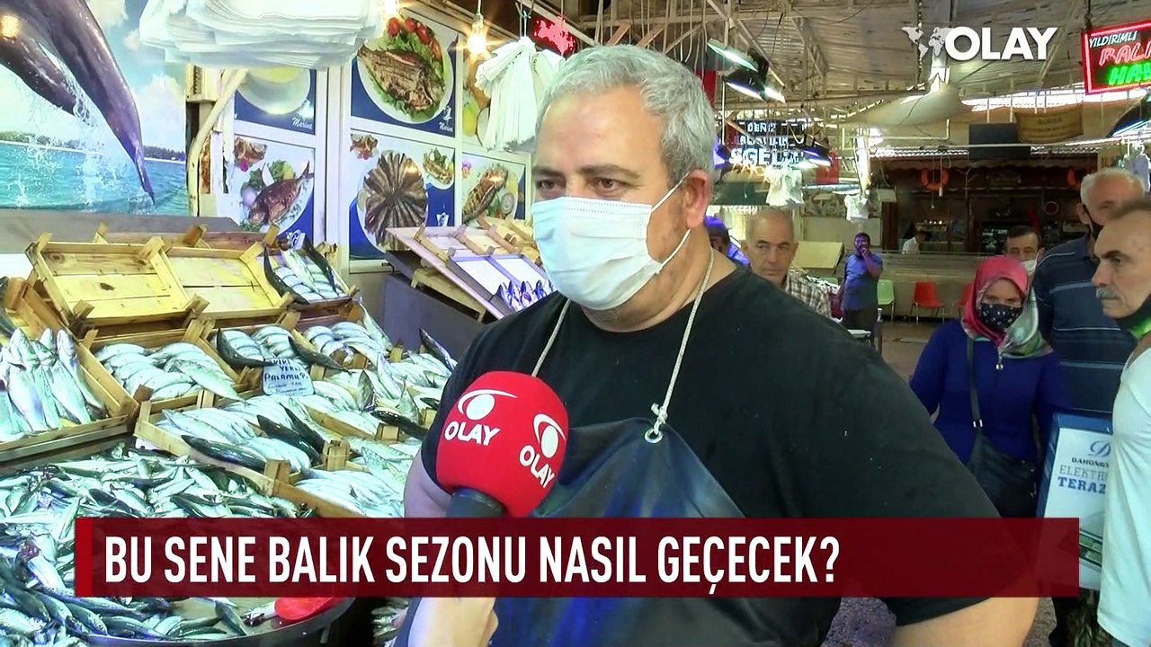 Hamsi cep yakıyor