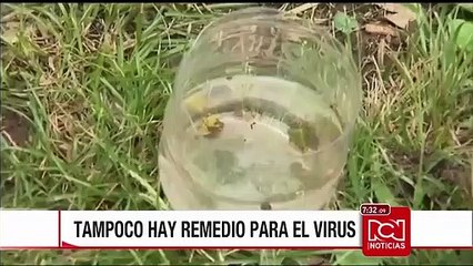 Minsalud recomienda no creer en falsos remedios contra el zika