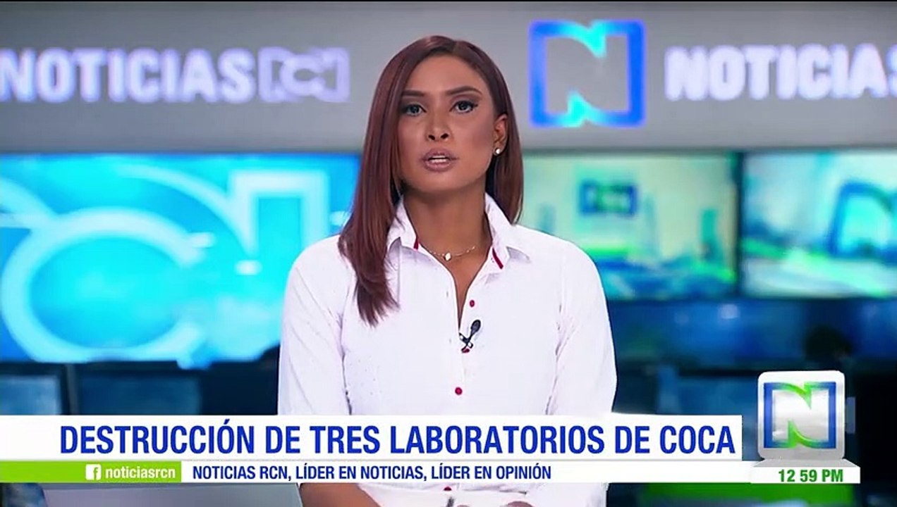 Ejército destruyó tres laboratorios para el procesamiento de cocaína en Santa Rosa, Bolívar