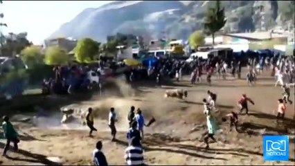 Veintitrés personas heridas dejó festival de toreo en Perú