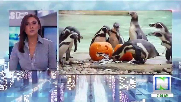 La fiesta de Halloween ya se vive en un zoológico de Londres