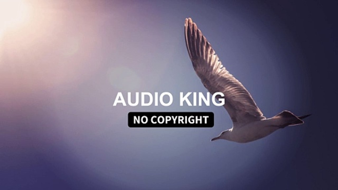 Sainntset - Flying |Audio King|