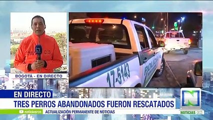 Comunidad salvó a tres perros que habían sido abandonados en Bogotá