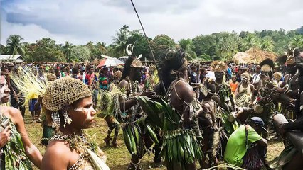 African Music: Rhythms & Traditions 🌍