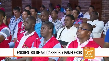 Gremio azucarero y panelero analizaron fortalezas y amenazas para el sector