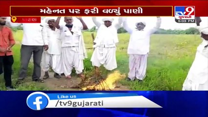 Heavy rain showers bring tension for Patan farmers  Tv9GujaratiNews