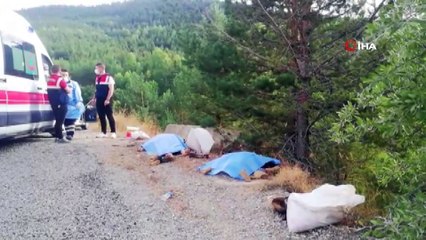 Kuşburnu toplayan anne ve kızı yıldırım düşmesi sonucu hayatını kaybetti