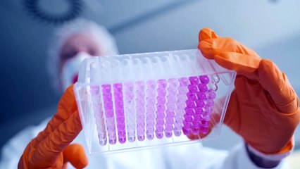 La Universidad de Oxford anuncia que reanuda los ensayos de su vacuna