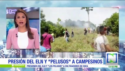 Policía denuncia presión del ELN y Pelusos para evitar erradicación manual en Sardinata, N. de Santander