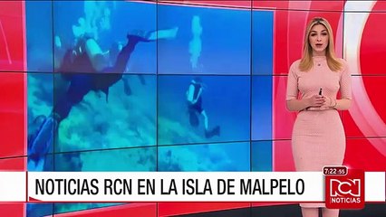 La isla de Malpelo, un santuario de fauna y flora en el pacífico colombiano