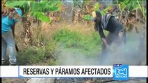 Incendios forestales causaron graves estragos en varias regiones del país