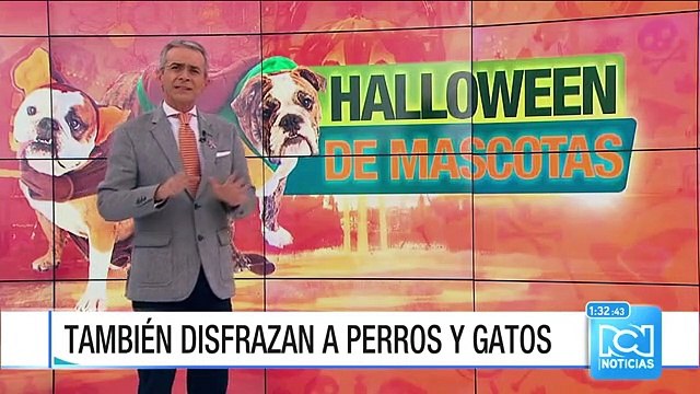 Cada año cobran mayor importancia los disfraces de las mascotas