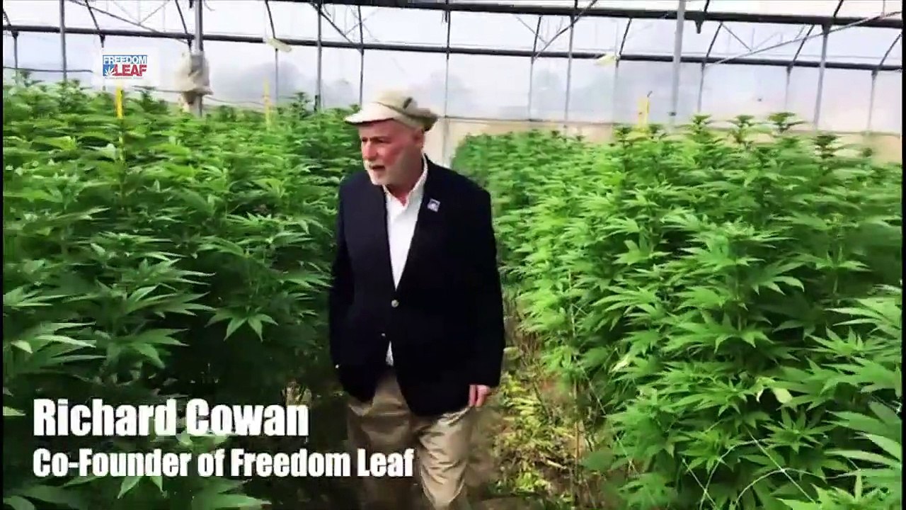 La Fiebre Verde. Cannabis legal en España