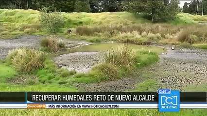 La preservación del humedal El Salitre, uno de los retos de Peñalosa