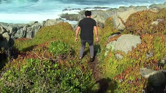 Algas y plantas marinas en el menú del mejor restaurante de Chile