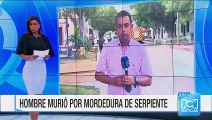 Hombre falleció por la mordedura de una serpiente en Baranoa, Atlántico