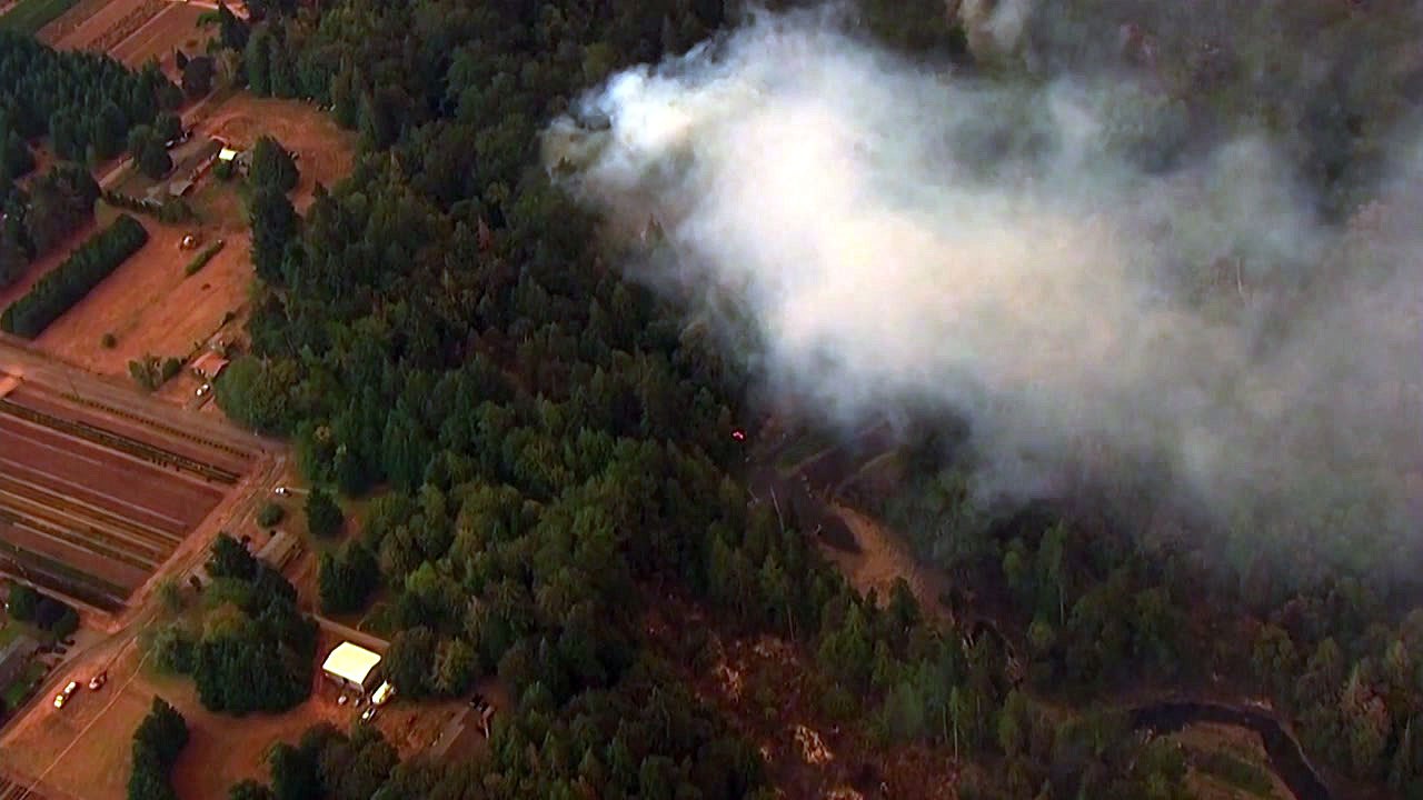 미 서부 대형산불 확산...17명 숨지고 50만 명에 대피령 / YTN