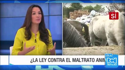 Sí o No: responden Natalia Parra y Jonathan Barreto