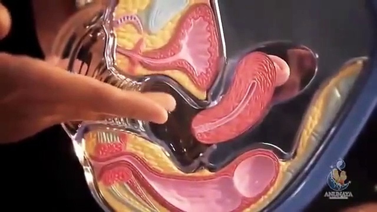 Como Masturbar a una Mujer, Secretos del Orgasmo Femenino