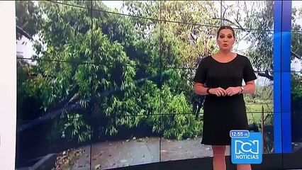 Suspenden en Bogotá liquidación del impuesto para vehículos