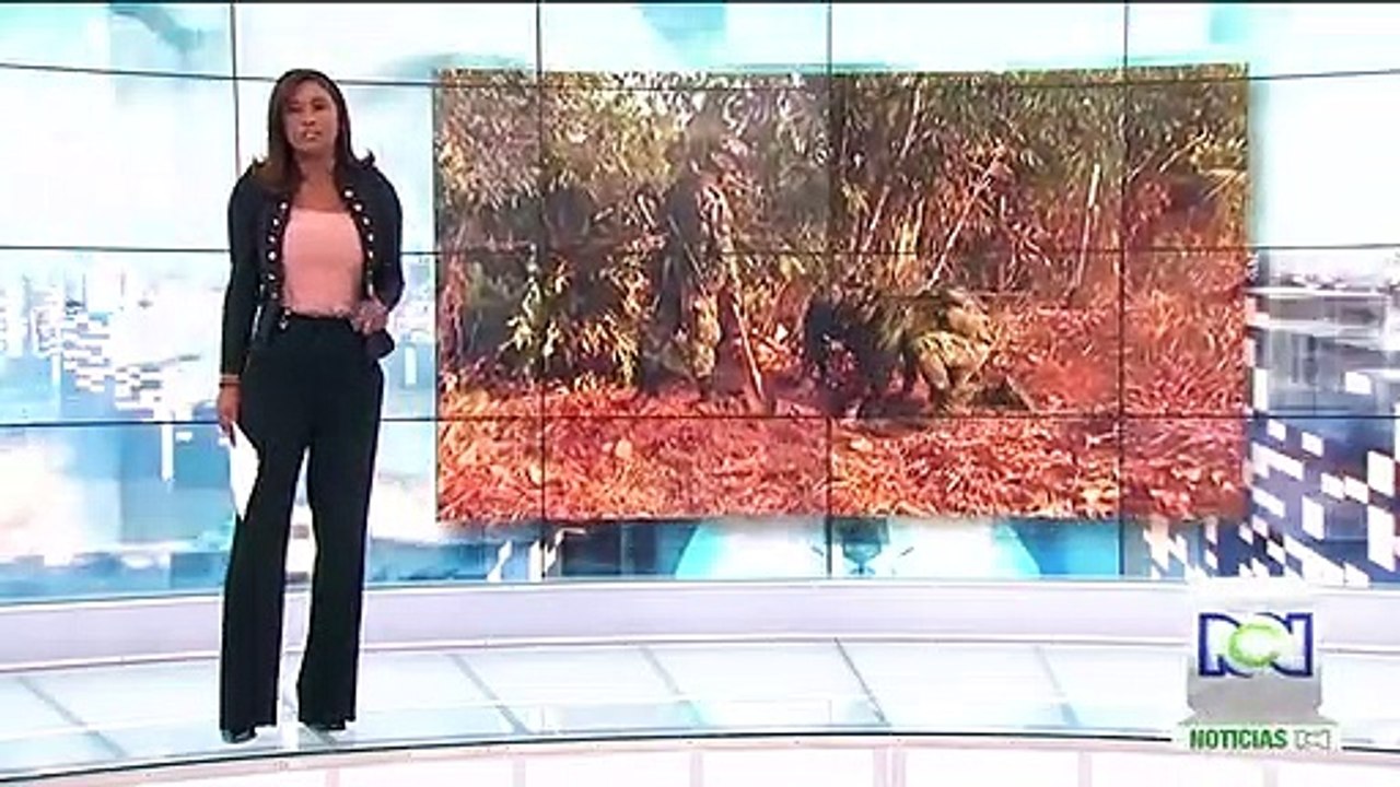 Farc aseguran que operativo donde hallaron caleta con armas viola protocolos de acuerdos con el Gobierno