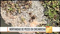 Emergencia en el río Chicamocha por mortandad de peces