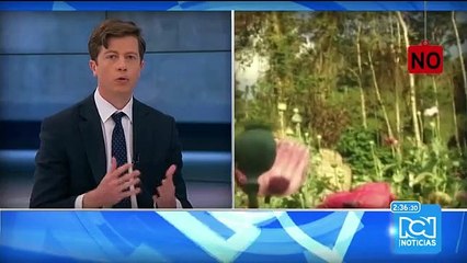 Sí o No: Daniel Rico y Daniel Raisbeck