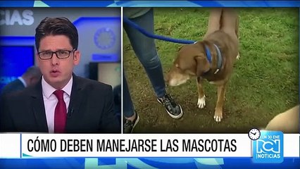 El cuidado y el respeto que se les debe dar a las mascotas, según el Código de Policía