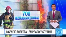 Emergencia por incendios forestales en los municipios de Prado y Coyaima en Tolima