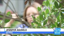 Menor apuñaló en el rostro a una compañera de colegio en Bogotá