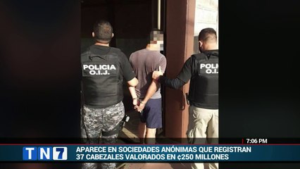 tn7 Uno de los supuestos hombres fuertes de una célula del cartel de sinaloa 120920