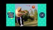 Ultimate Basketball Trick Shots & Fails Compilation _ Funny Vines