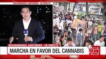 En Bucaramanga 2.000 personas marcharon a favor del consumo de marihuana