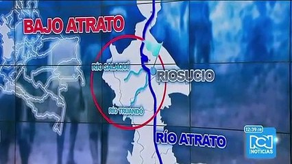 Tala indiscriminada de madera, otro grave problema del Chocó