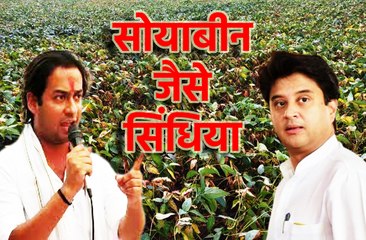 जयवर्धन सिंह ने सिंधिया की तुलना सोयाबीन से की