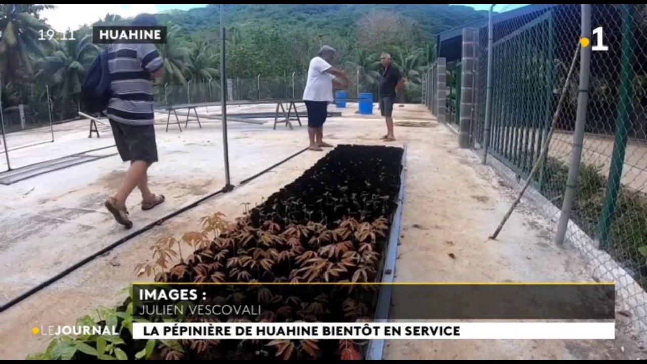 La pépinière de Huahine bientôt en service