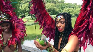 Parrots Join Fashion Shoot in Prospect Park