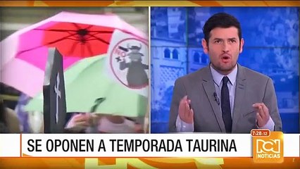 Animalistas: uno no puede pretender que torturen 6 toros y que la ciudadanía no se manifieste