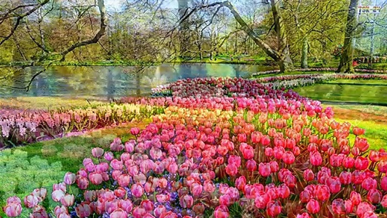 Top 10 Most Beautiful Places in the World