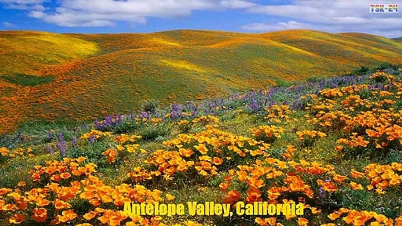 Top 50 Most Beautiful Places in America