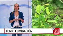 Eva lo sabe: Cara a cara entre Fiscal General y Minjusticia por fumigación aérea