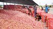 Onion wholesale and retail prices doubled | Oneindia Telugu