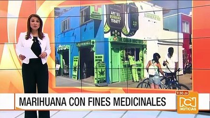Entra en vigor la legalización de la marihuana medicinal en Florida, Estados Unidos