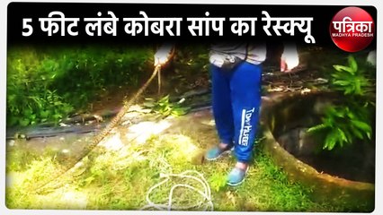 सोशल मीडिया पर वायरल हुआ वीडियो