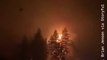 Flames Rise From Trees Amid Emergency Evacuation in Clackamas County, Oregon