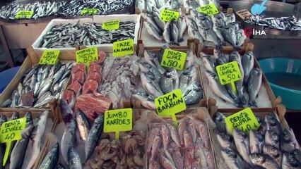 - Beylikdüzü’nde mevzuata aykırı satışa sunulan 7 ton su ürününe el konuldu