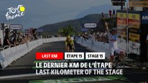 #TDF2020 - Étape 15 / Stage 15 - Flamme Rouge / Last Kilometer